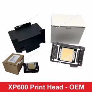XP600 HEAD COST