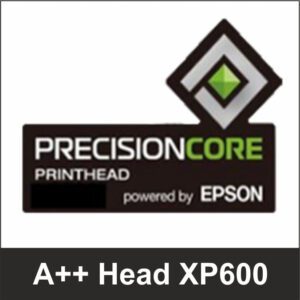 Yinstar 12 Inch DTF Printer XP600 Dual Head - store.dtgdtf